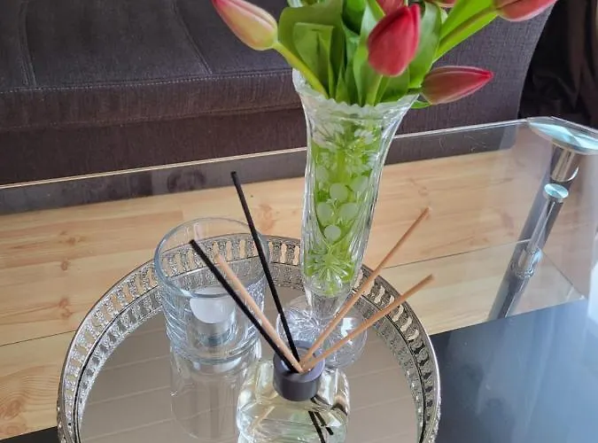 Haus Mika Кохем